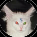 ye0nnnnnnys 프로필 사진