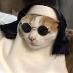 so0o.r 프로필 사진