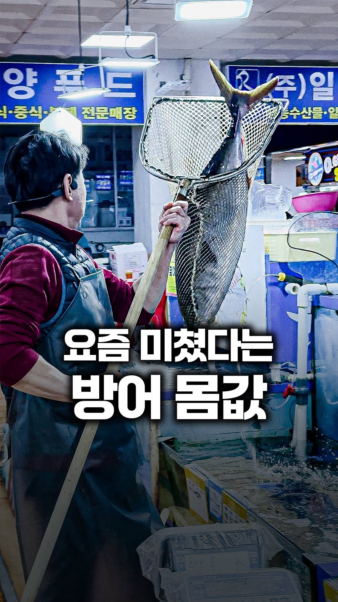 tallman189_el 게시물 이미지: ⠀
✅ 노량진수산시장 호구 안당하고
방어 맛있게 먹을 수 잇는 집
“영호남...