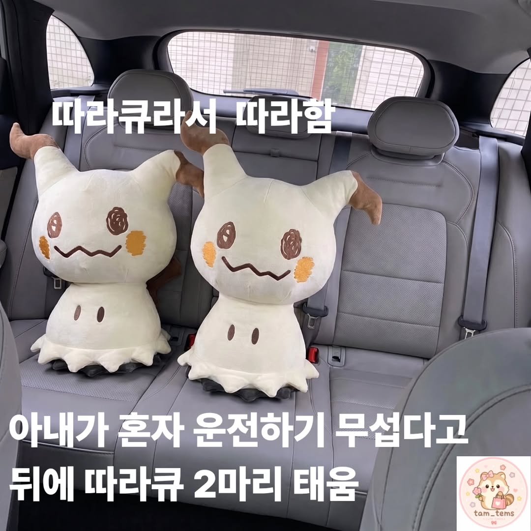 tam_tems 게시물 이미지: 혼자 운전하는 게 무섭다는 아내 때문에 뒤에 따라큐 두 마리 태워줬어요🤣👻

운전할...