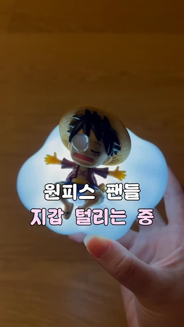 tam_tems 게시물 이미지: 원피스 좋아하는 사람들은 이거 진짜 위험해요🤣🏴‍☠️

저도 하나만 사보자는...