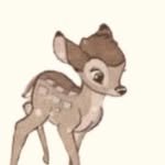 bambistj 프로필 사진