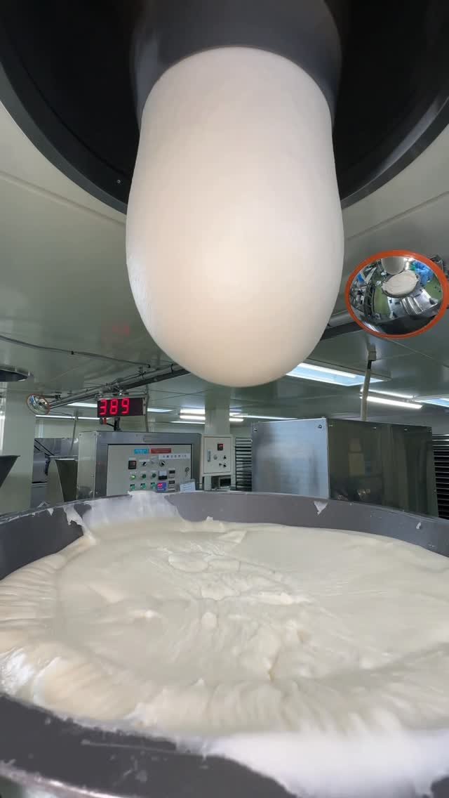 tamo__tyan 게시물 이미지: お餅工場に潜入！おいしい丸餅ができるまで

今回は、家庭でよく食べている丸餅をつくってる工場を...