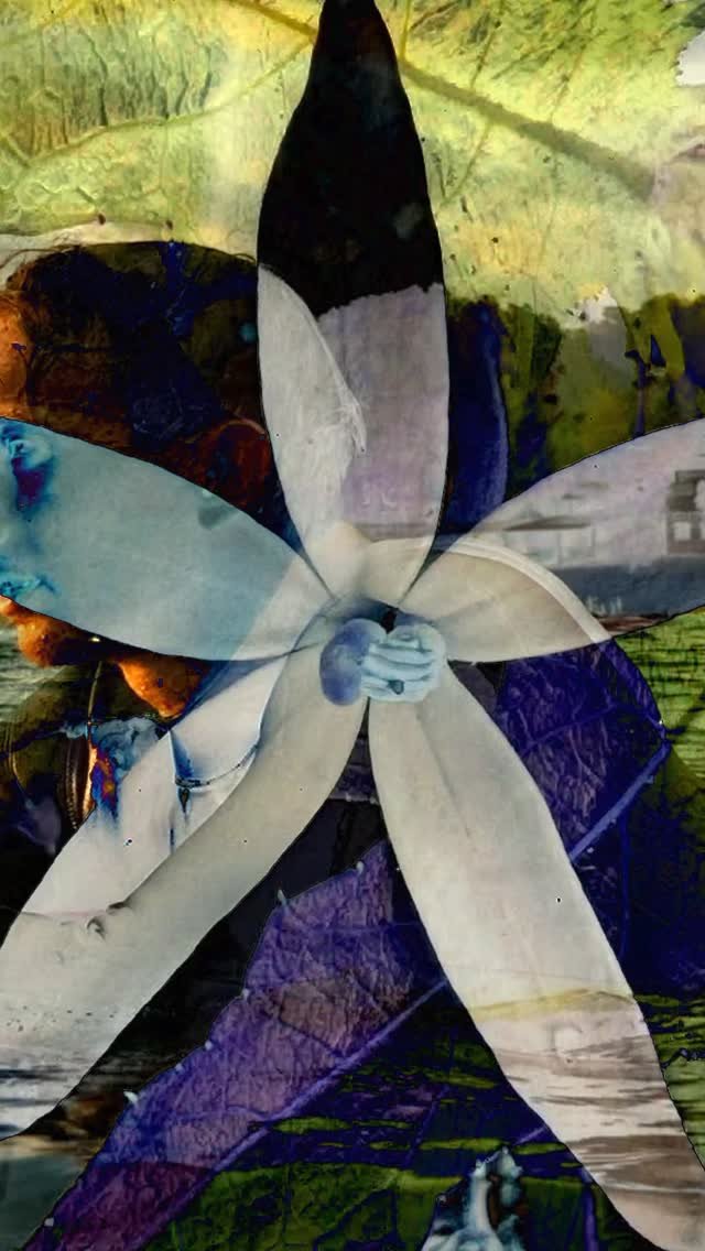 tanner_mcdaniel28 게시물 이미지: “INDOSECT” by @science.bodyboards is up and...