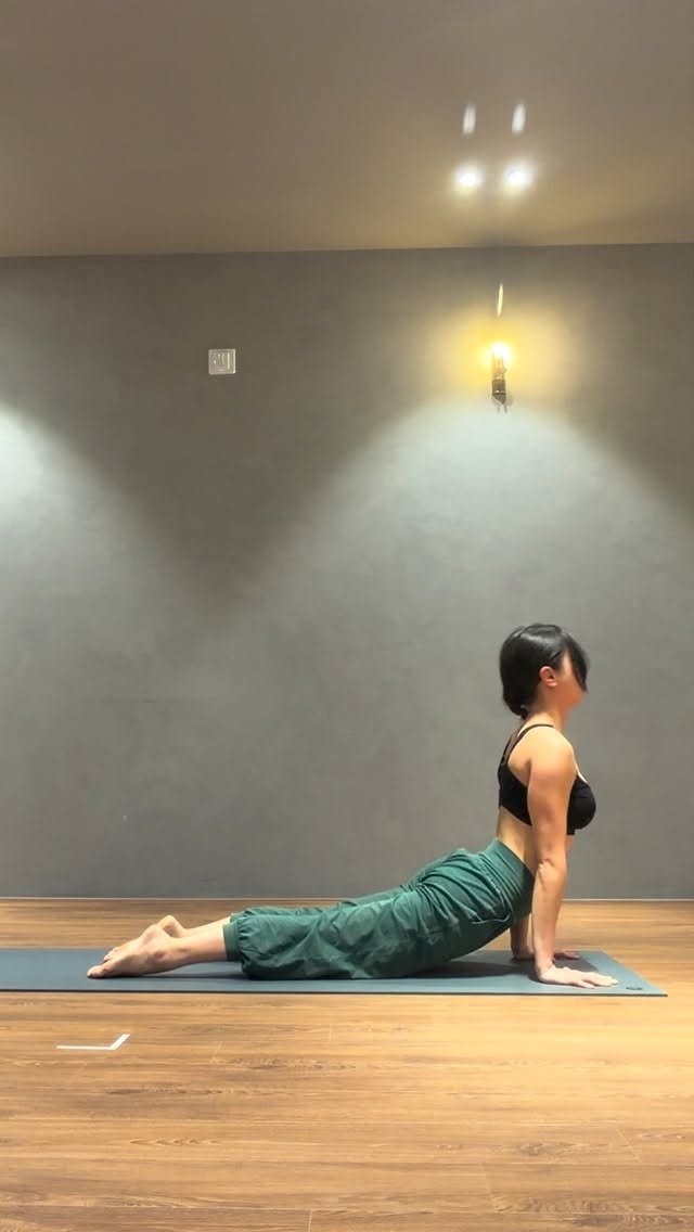 tara_in_rainyday 게시물 이미지: 저는 아도무카 브륵샤.
핸드스탠딩이 가장 좋아요..
그리고 저는 왜 그럴까 추측하는...