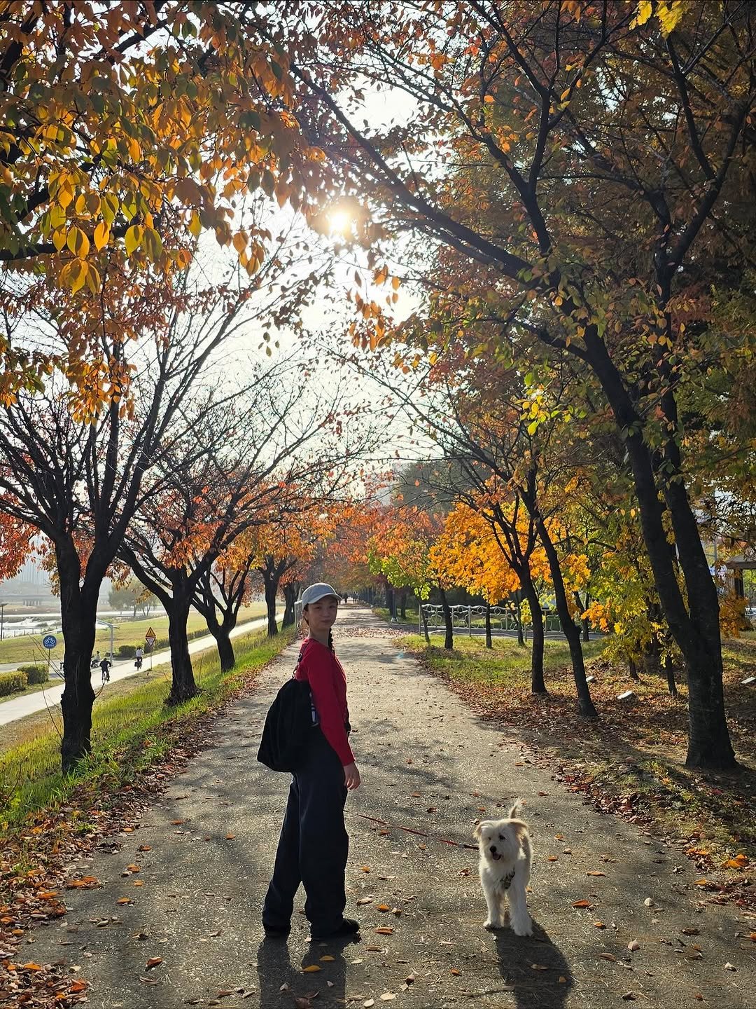 Photo by 타라나요가 on November 09, 2025. May be an image of Bedlington terrier, park and text.