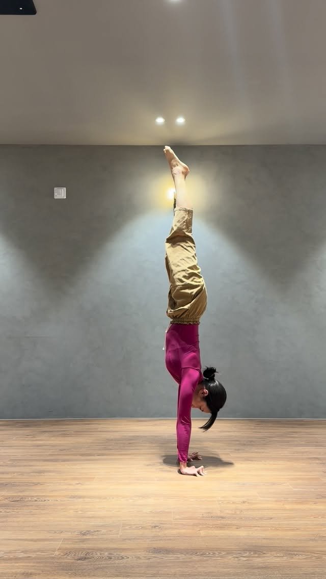 tara_in_rainyday 게시물 이미지: 체감 십삼초

화요일 하타 빈야사. 
회원님들 거친 숨소리 알찼다!