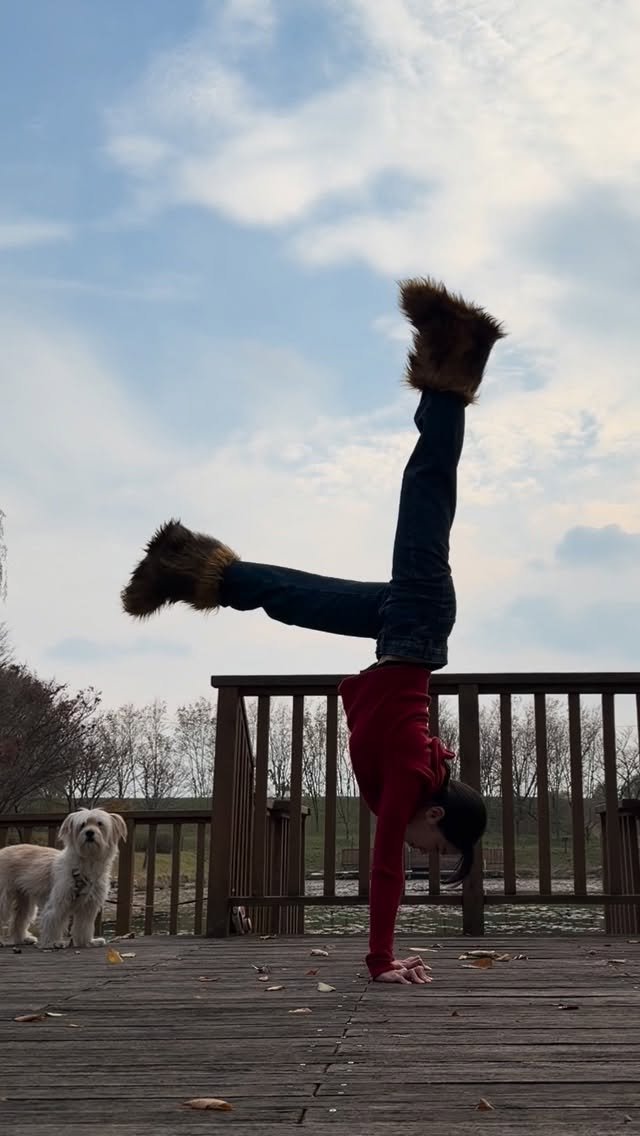 tara_in_rainyday 게시물 이미지: 