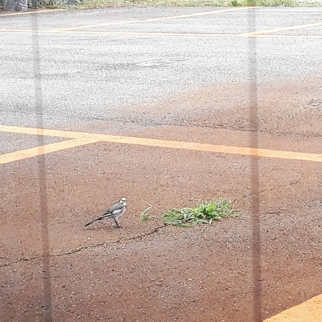 Photo by Taro Sea on September 05, 2019.