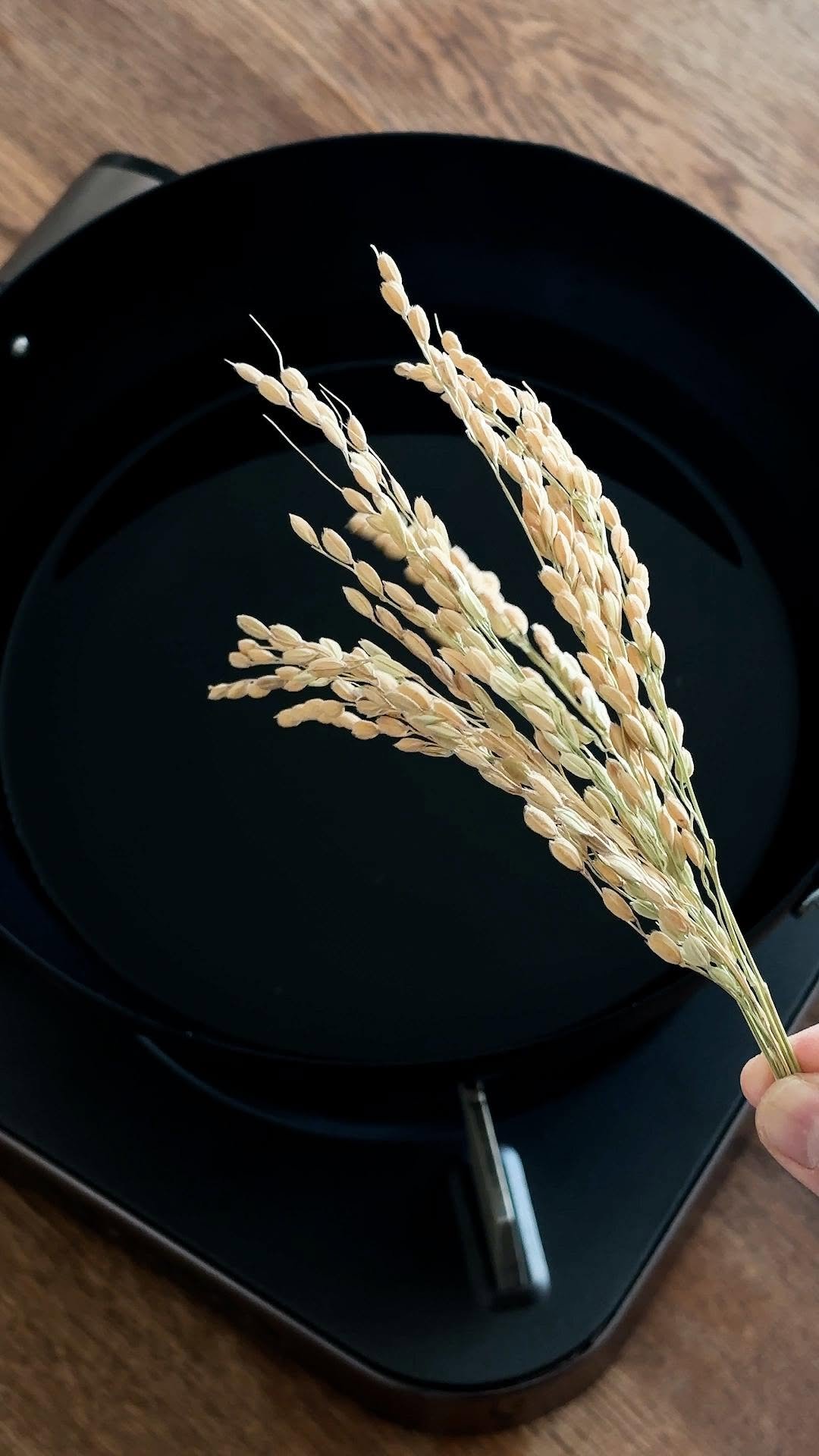 tastyjapan 게시물 이미지: 【ちょ待って！和製ポップコーン！？】「いや、ポップライスでしょ！」稲穂の素揚げやってみた /...