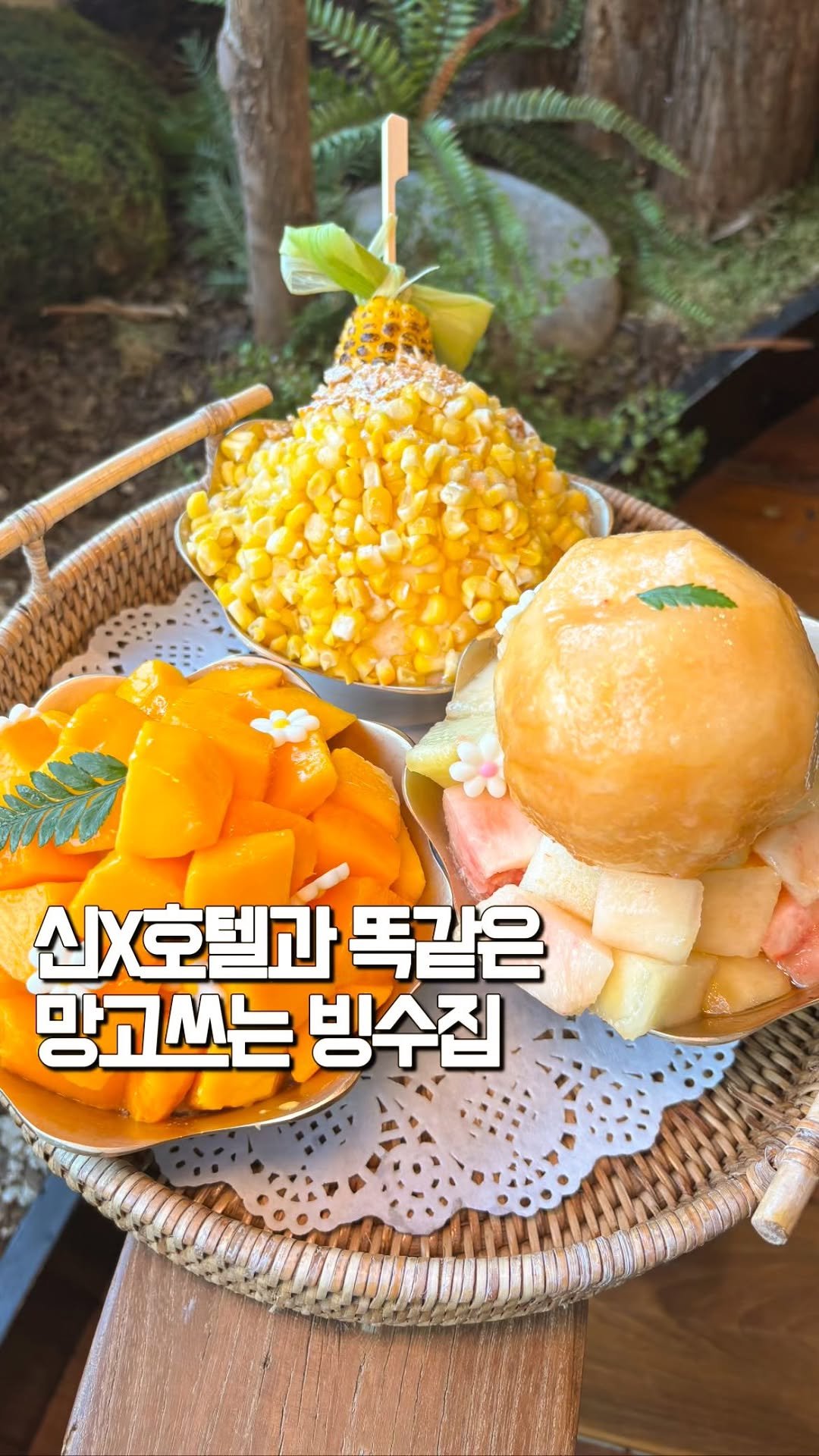 tastyroom_ 게시물 이미지: 아니 여러분 신라호텔과 똑같은 제주산 애플 망고를 사용하는데도 가격은 반값밖에...