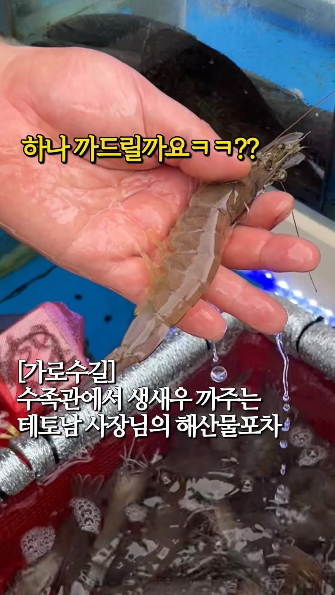 tastyroom_ 게시물 이미지: 아니 9월도 아니고 8월부터 생새우구이를 먹을 수 있는곳??🦐🦐🦐
남들보다...