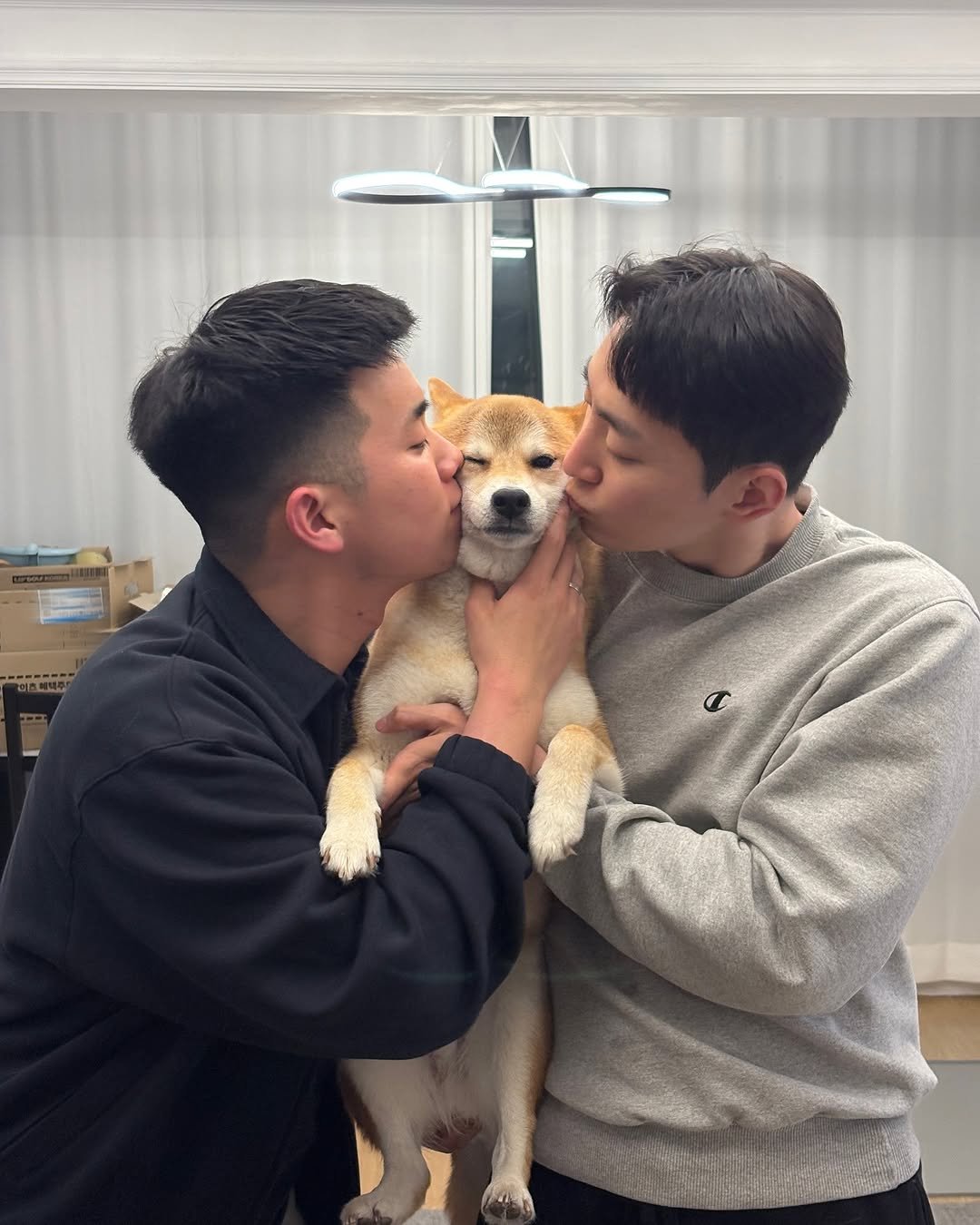Photo shared by TATSUKI on May 20, 2025 tagging @go.nu.nu. May be an image of pet.
