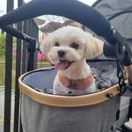 roomy.day 프로필 사진