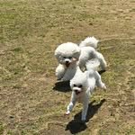 hooya87 프로필 사진