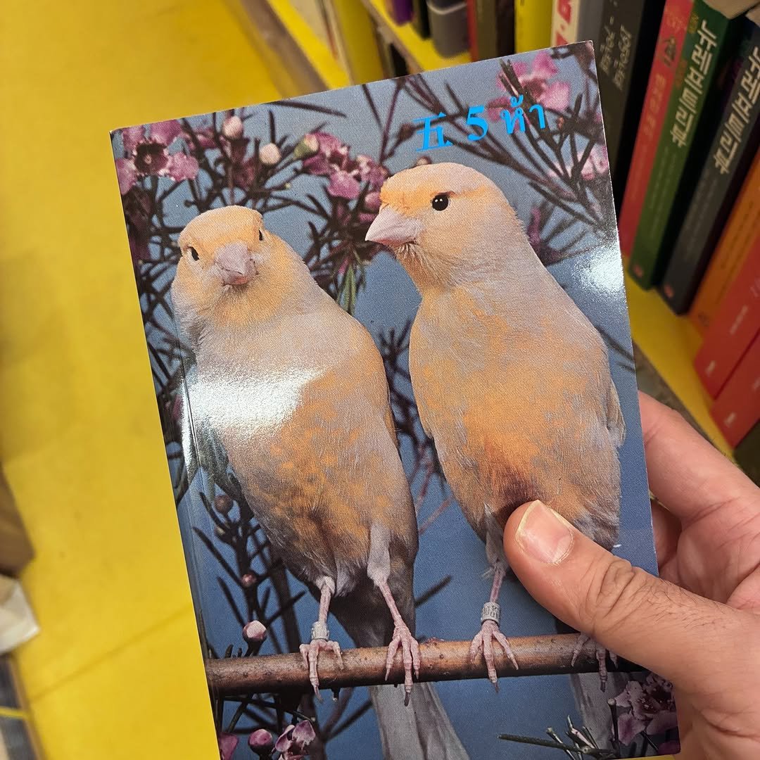 Photo by The Book Society on December 11, 2025. May be an image of parrot, lovebird, card, book and text.