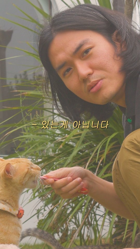tea_maker_lj 게시물 이미지: 이렇게 사심없이 해야 고양이 사장님이

츄르를 드셔주신다, 
오늘 미제산 츄르를...