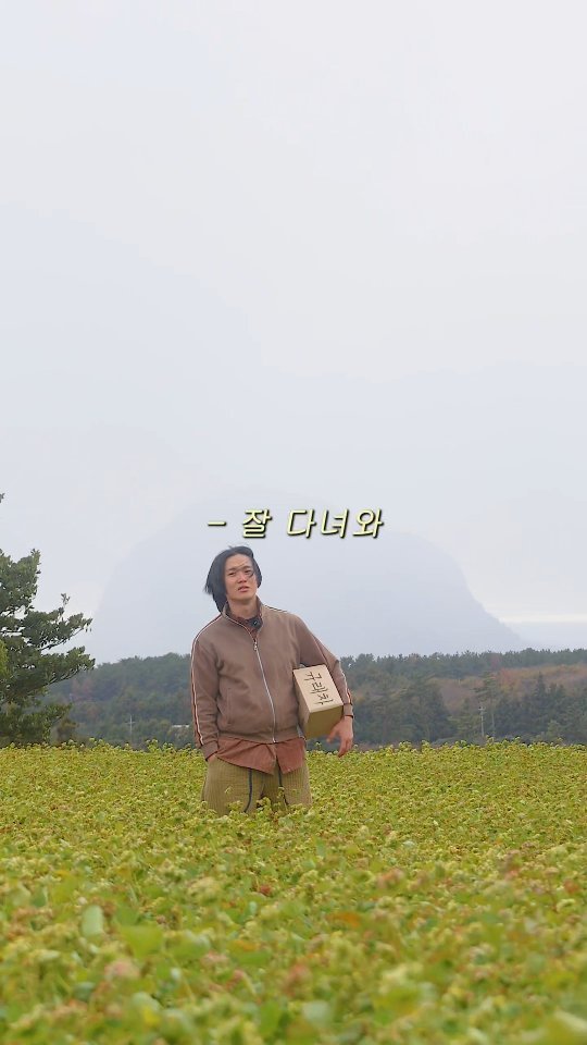 tea_maker_lj 게시물 이미지: 쿠팡이 내 개인정보를 해외배송 보낸 오늘,
나는 카멜리아힐을 다녀와서
규래차 납품...