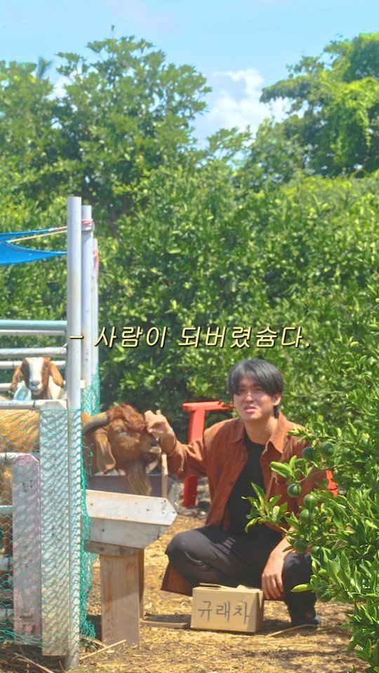 tea_maker_lj 게시물 이미지: 개운한 인간이 된 오늘,
귤다방(@gyul.da.bang_jeju) 에 차를...