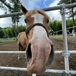 mditrpsm79 프로필 사진