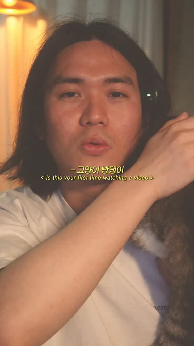 tea_maker_lj 게시물 이미지: 🔄고양이빵댕이 때리는 영상은 처음이시지요?
저도...