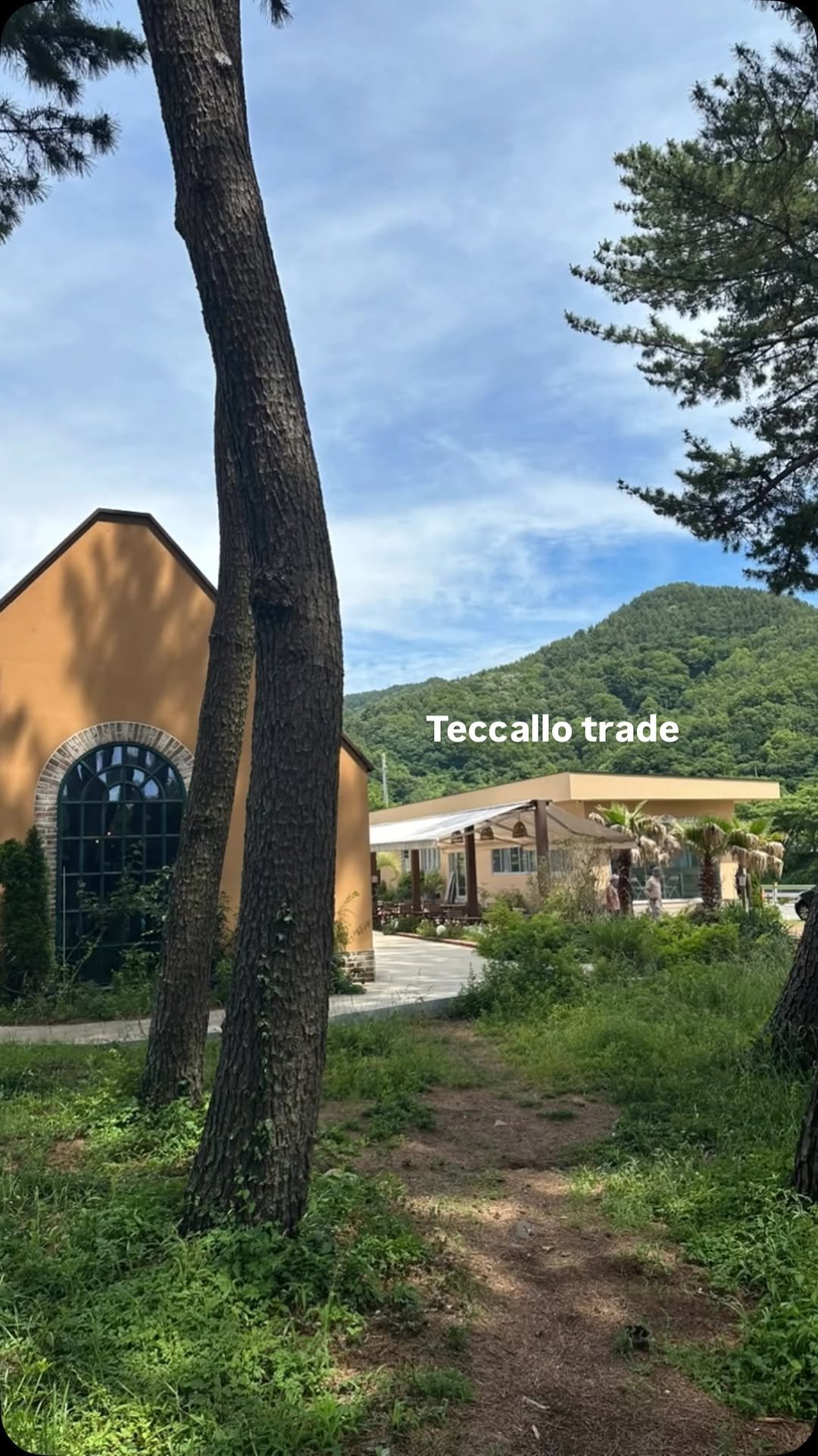 teccallo_trade 게시물 이미지: 숲길과 바다강길의 자연과 함께하는 오늘도, 찾아주시는 한 분 한 분께 최선을...
