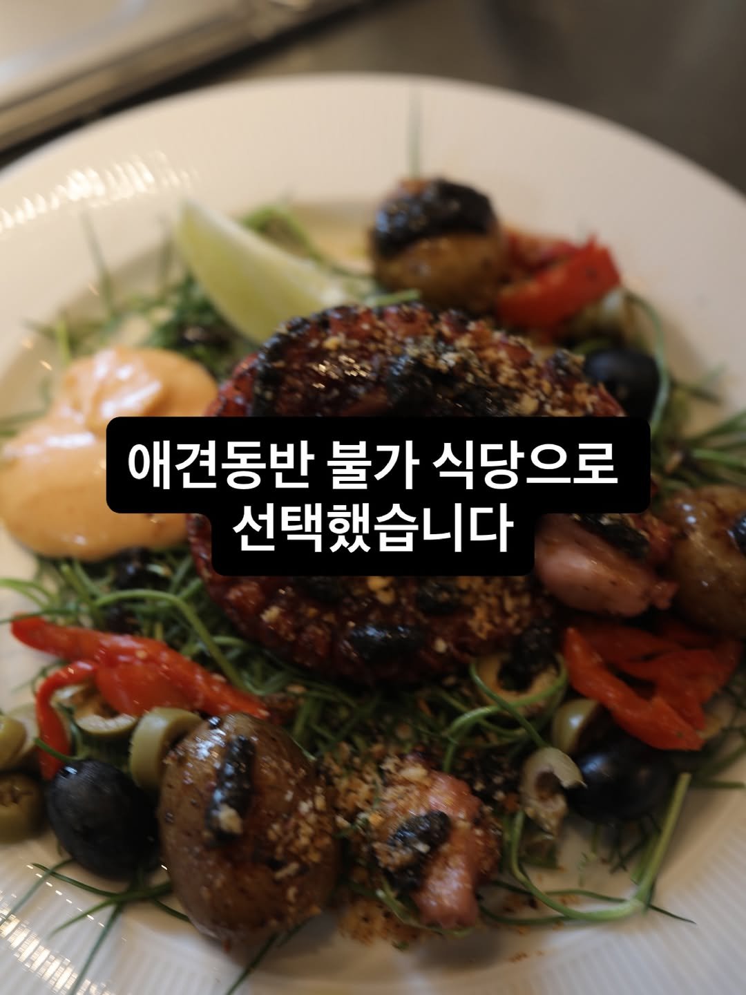 Photo by 때깔로무역 on February 28, 2026. May be an image of vegetable and text that says '애견동반 불가 식당으로 선택했습니다'.