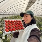 berry.hug 프로필 사진