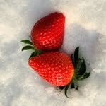 berry.hug 프로필 사진