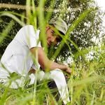 vijay3guy 프로필 사진