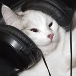semo.playlist 프로필 사진