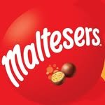 maltesers_korea 프로필 사진