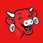 thelaughingcow_korea 프로필 사진