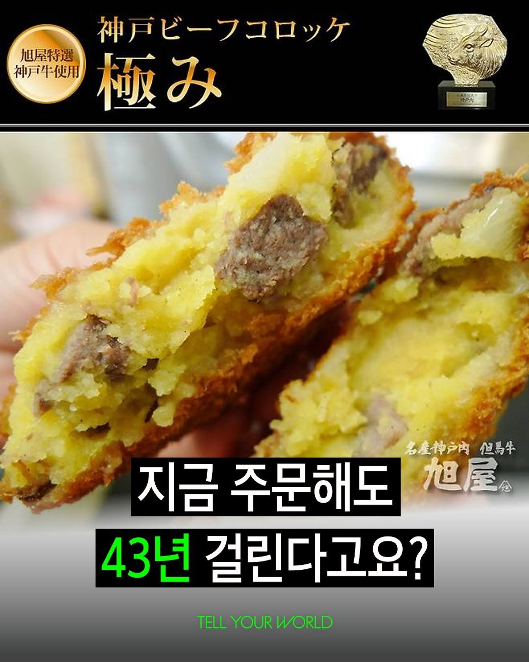 Photo by 텔유어월드 매거진 on September 23, 2025. May be an image of croquette, turnover, bread, pie, fritter, cutlet, hand pie and text that says '神戸ビーフコロッケ 旭屋特選 神戸牛使用 極み 名産神戶内 지금주문해도로 名産神戶肉但馬半 但馬牛 지금 주문해도 旭屋 43년 걸린다고요? TELL TELLYOURWORD YOUR ELLYOURWORLD WORLD'.