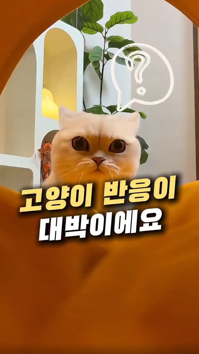 tem.doctor 게시물 이미지: 반려동물용 원터치 텐트인데
왜 이제야 샀나 싶을 정도로 반응이...