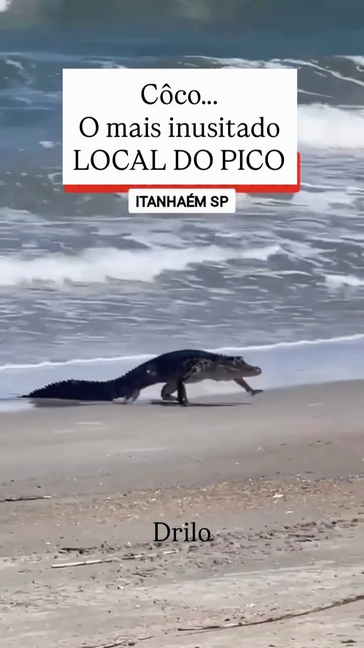 temasonda 게시물 이미지: O Côco é CASCA 🥷