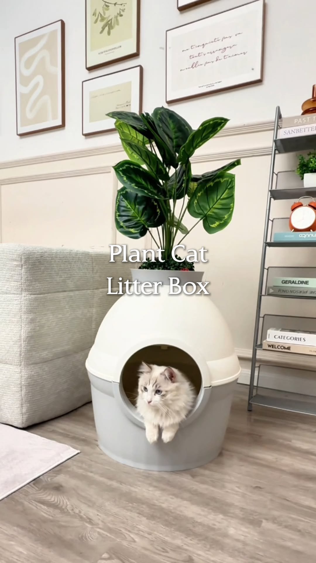 temu 게시물 이미지: Give your favorite furry roommate plenty of...