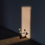 gamsung_m00d 프로필 사진