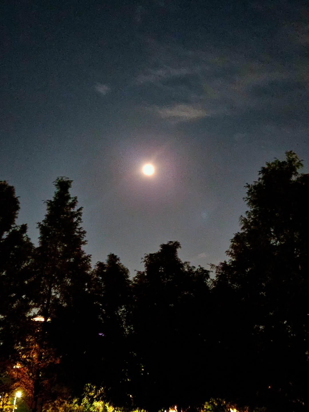 Photo by 취미부자 테소로의 독서기록 on November 05, 2025. May be an image of twilight, eclipse, night and text.