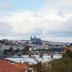 tesoro_no1 인스타그램 프로필 사진