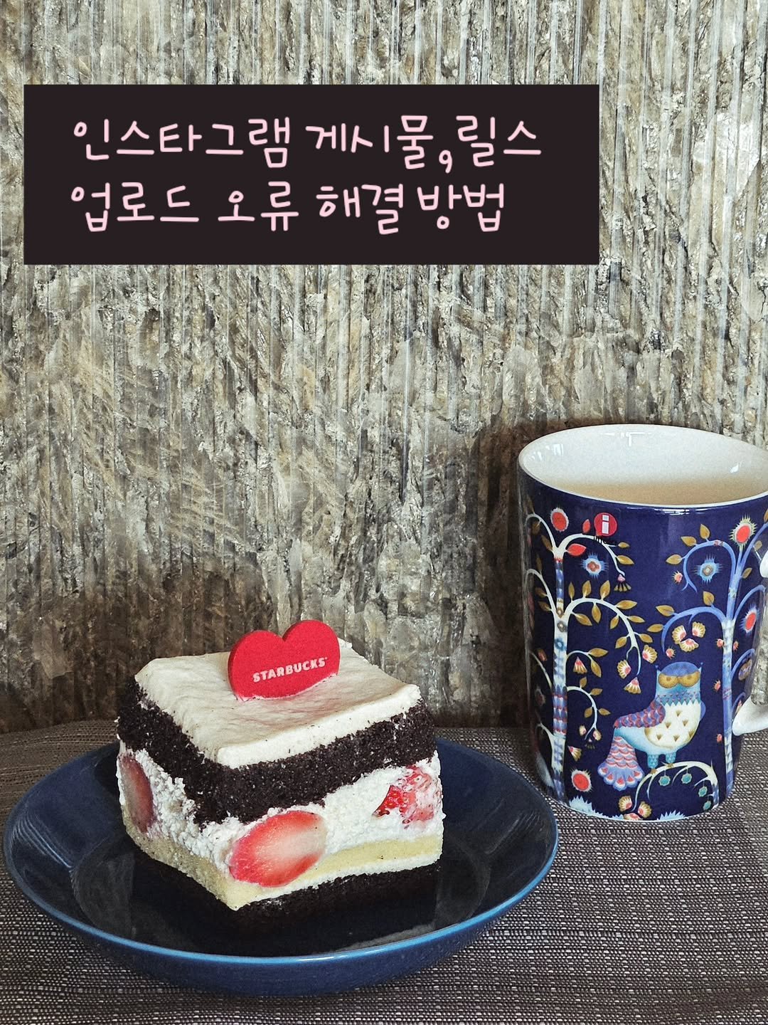 Photo by 취미부자 테소로의 독서기록 on February 16, 2026. May be an image of cake, pie, fruitcake, cheesecake and text that says '인스타그램 게시 게시물, 1물 릴스 업로드 오류 해결 해결방법 방법 STARBUCKS STARBUCKS'.