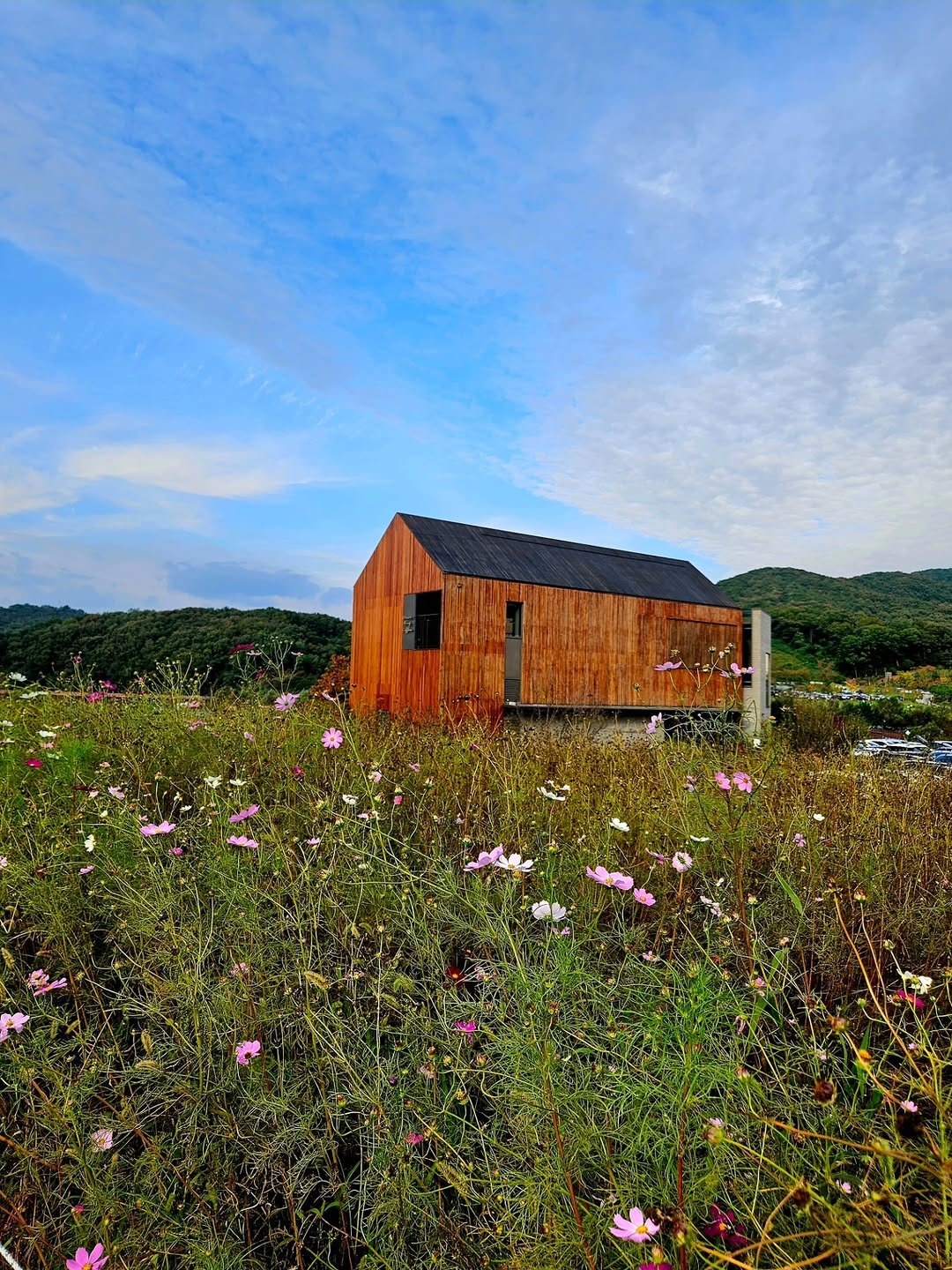Photo by 취미부자 테소로의 독서기록 on October 26, 2025. May be an image of globe amaranth and text.