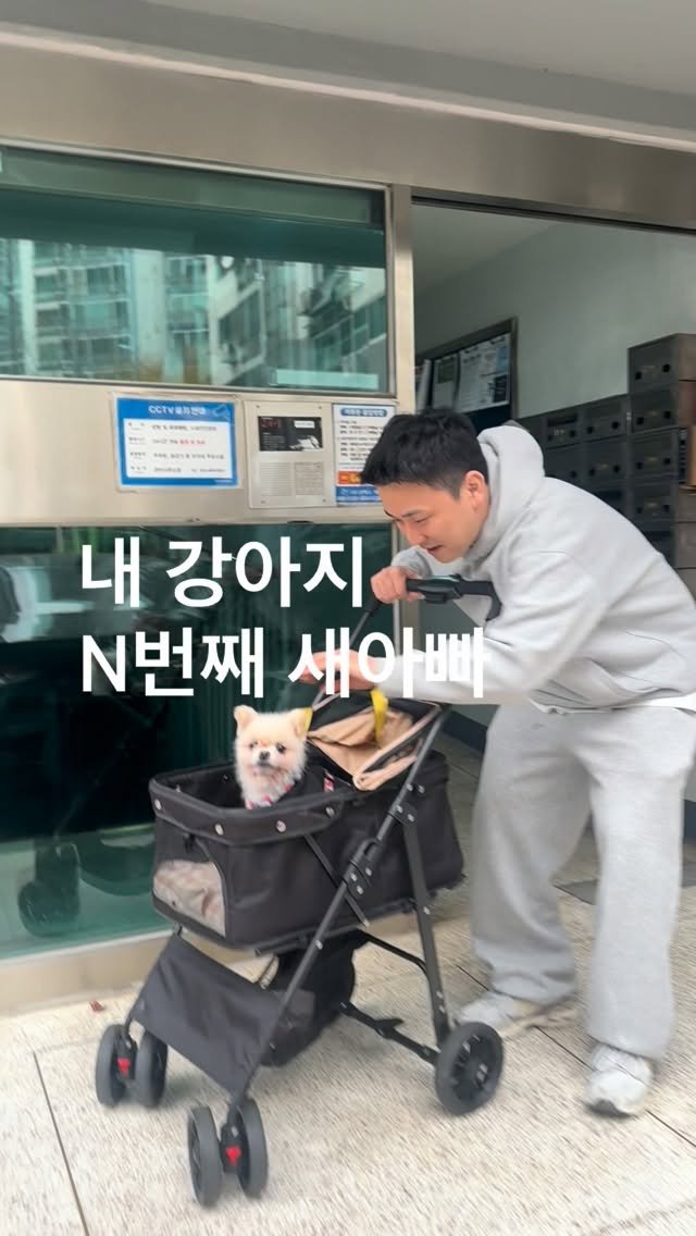 teto.tuni 게시물 이미지: 내 강아지의 n번째 새아빠 ..
이거 우유입장으로 보니까 마음아프네 
이제 우유...