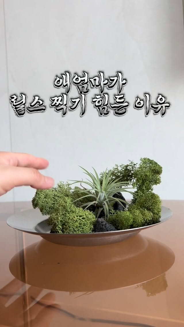 tets.terraria 게시물 이미지: 저도 ASMR하고 싶어요 😂😂😂