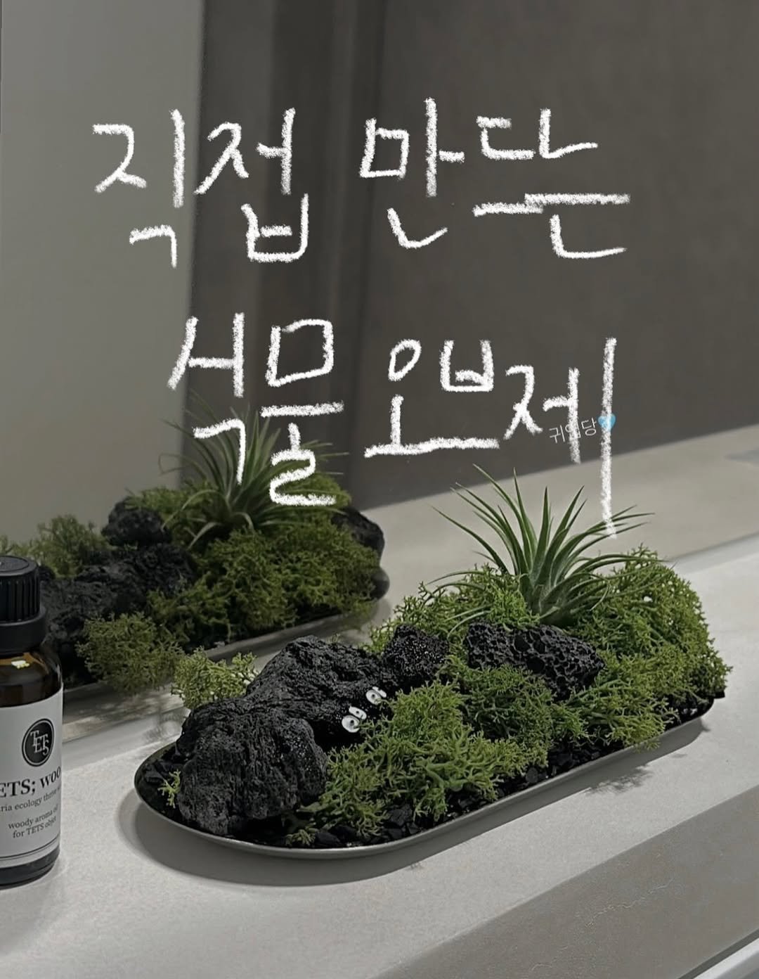 Photo by TETS 텟츠 on September 01, 2025. May be an image of plant and text.