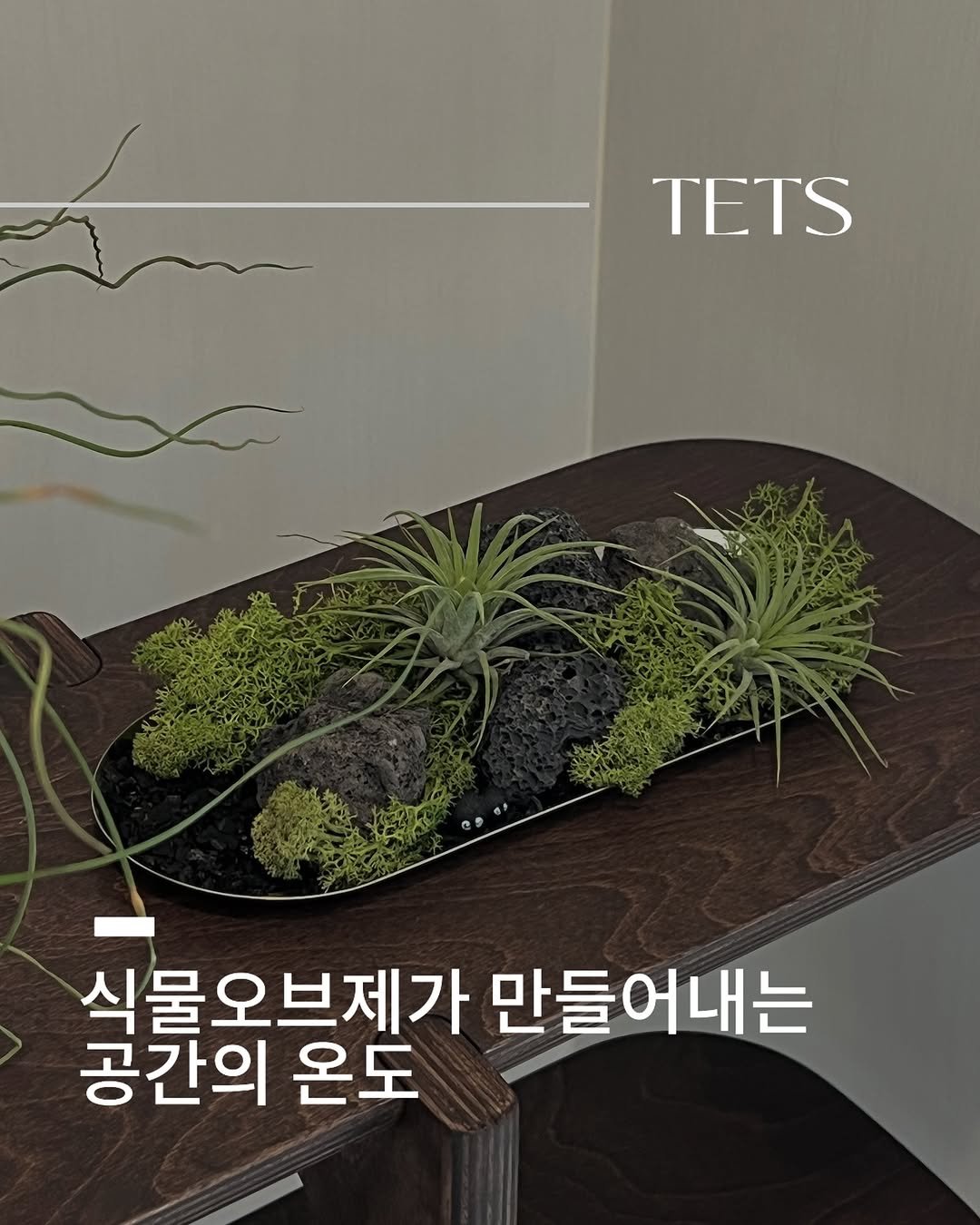 Photo by TETS 텟츠 on May 26, 2025.