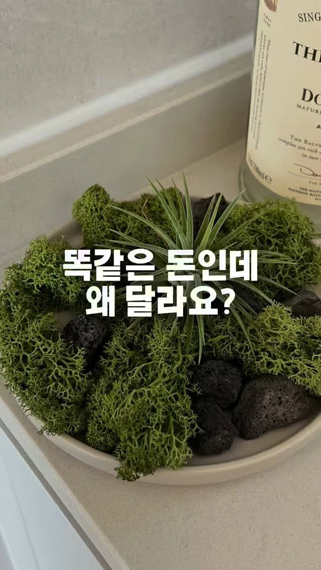 tets.terraria 게시물 이미지: “200개 주문할건데 포장 똑같나요?”

연말 행사의 시즌이라
대량 주문이 급속도로...