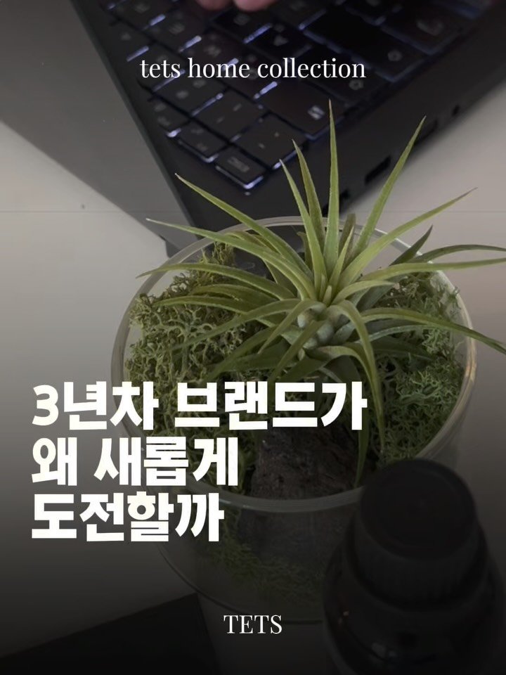 tets.terraria 게시물 이미지: 🌱3년만에 새로운 도전이라 많이 떨리지만
처음의 텟츠처럼 느리더라도 꾸준하게
작은...