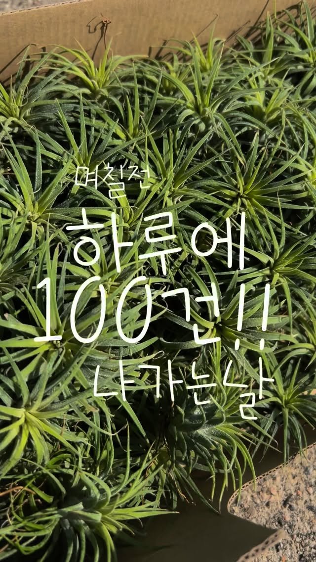 tets.terraria 게시물 이미지: 매일 택배를 많이 보내서
우리 기사님도 부자 만들어 드리는 것이...