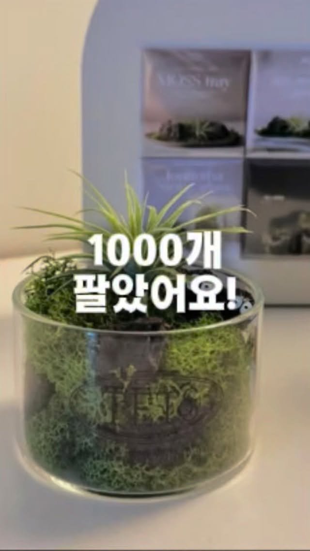 tets.terraria 게시물 이미지: 댓글에 💚 초록하트 남겨주시면
주말동안 추첨해서 보냐드릴게요🍀

✅컵 어디에...